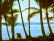 e-motional Images Screen Saver (Islands Edition)